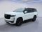 2024 Cadillac Escalade 4WD Sport Platinum