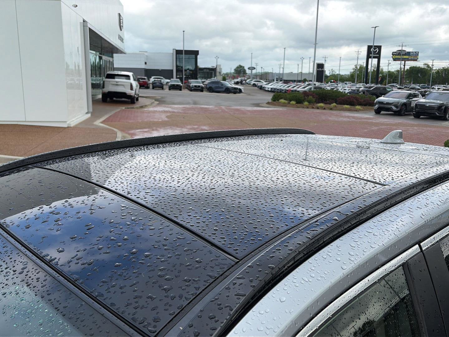 2019 Toyota RAV4 Base