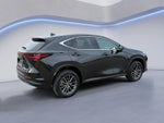 2025 Lexus NX NX 250 Premium