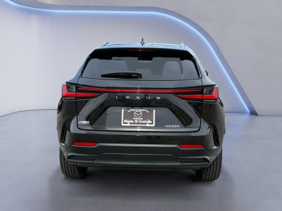 2025 Lexus NX NX 250 Premium