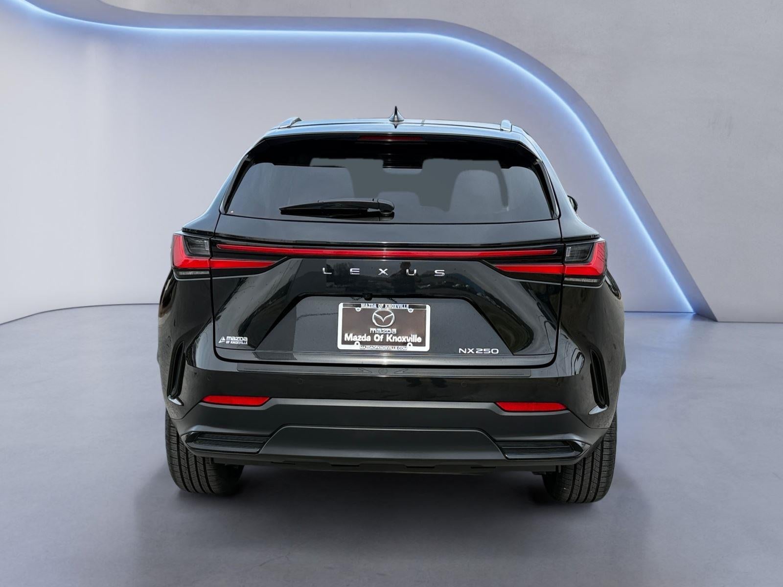 2025 Lexus NX NX 250 Premium