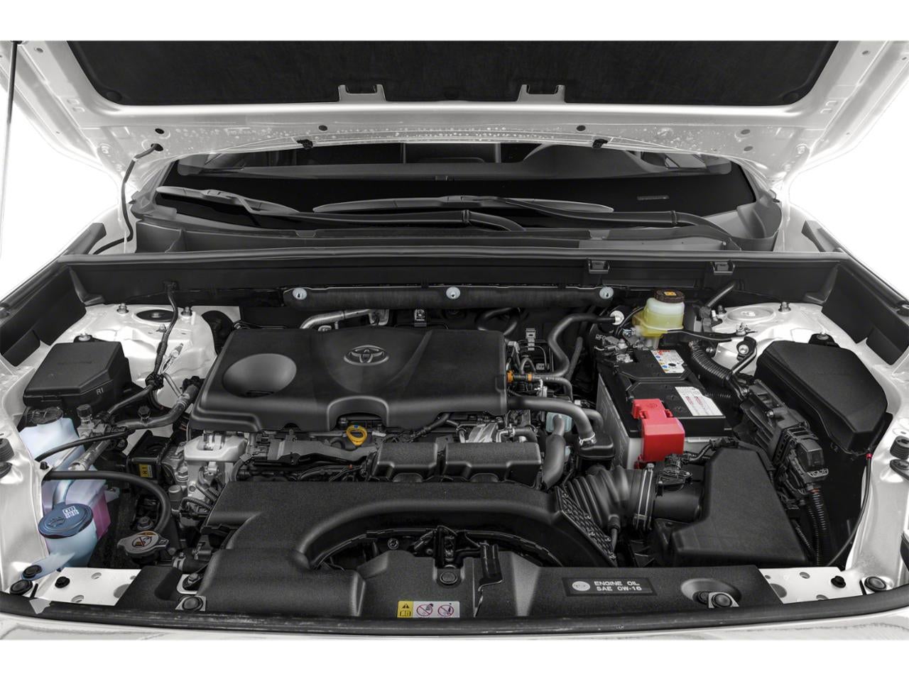 2019 Toyota RAV4 LE FWD (GS)