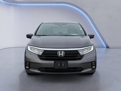 2024 Honda Odyssey Touring Auto