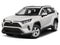 2020 Toyota RAV4 XLE FWD (Natl)