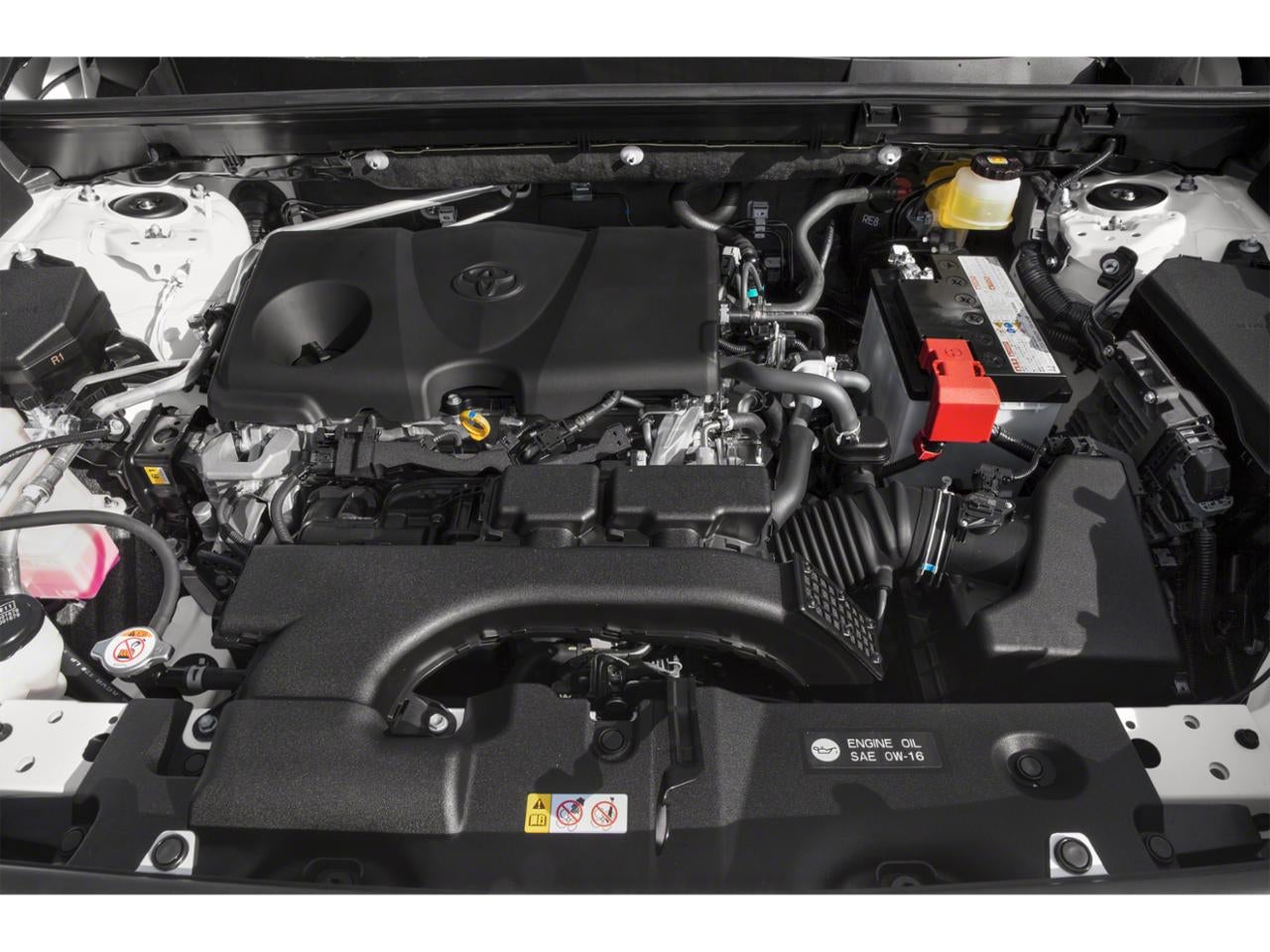 2020 Toyota RAV4 XLE FWD (Natl)