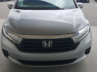 2023 Honda ODYSSEY EXL